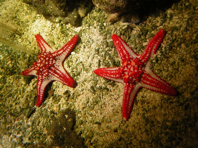 Stockholm - aquarium